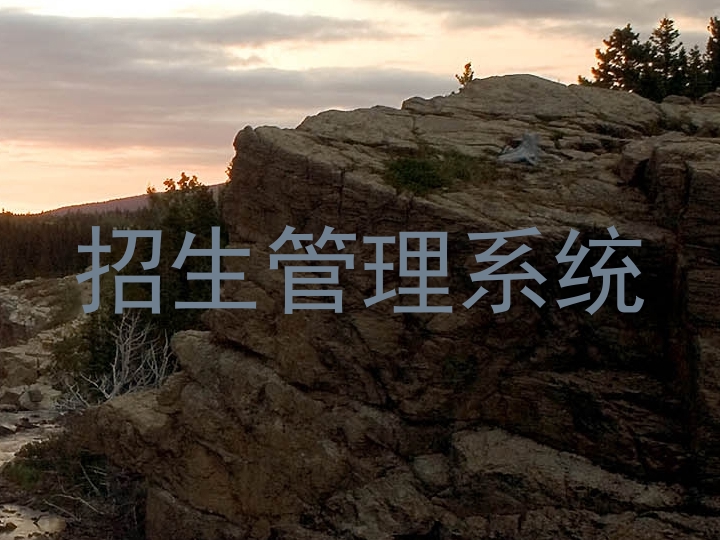 招生管理系统