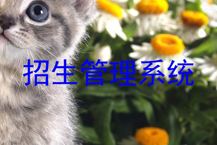 招生管理系统