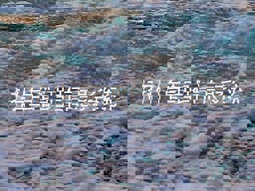 招生管理信息系统