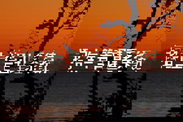 招生管理系统