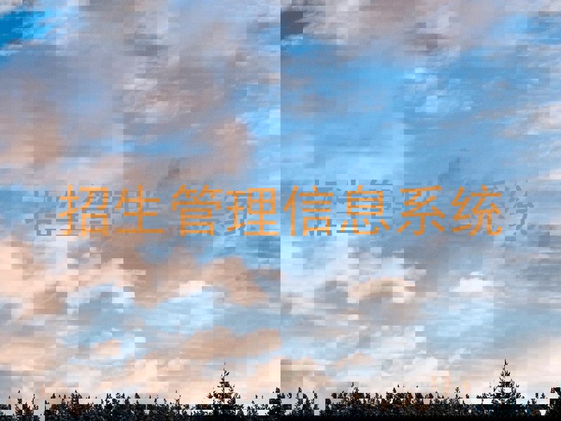 招生管理信息系统