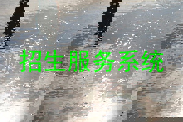 招生服务系统