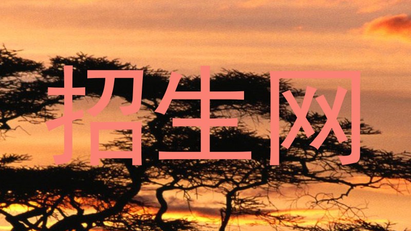 招生网