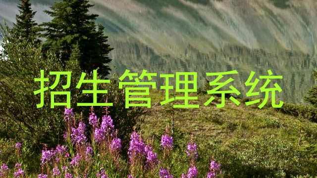 招生管理系统