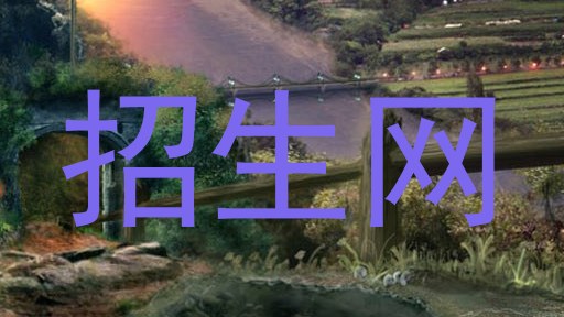 招生网