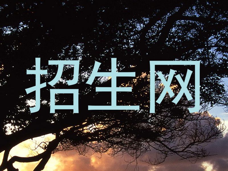 招生网