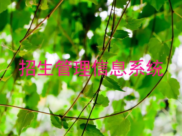招生管理信息系统