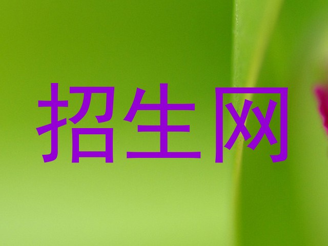 招生网