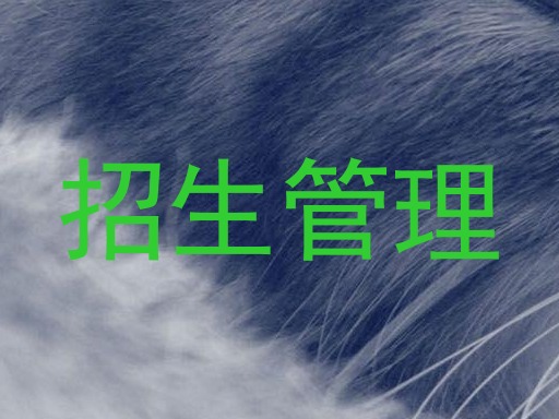 招生管理
