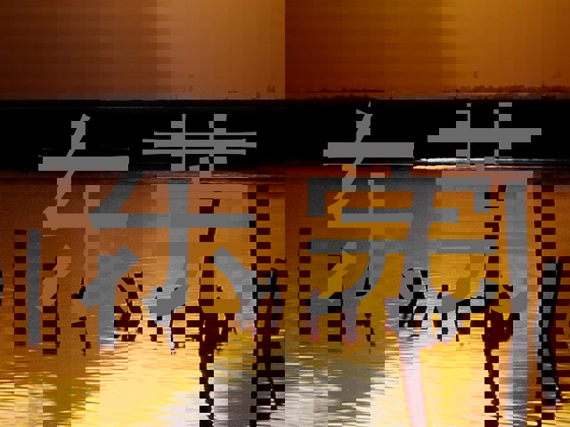 东莞