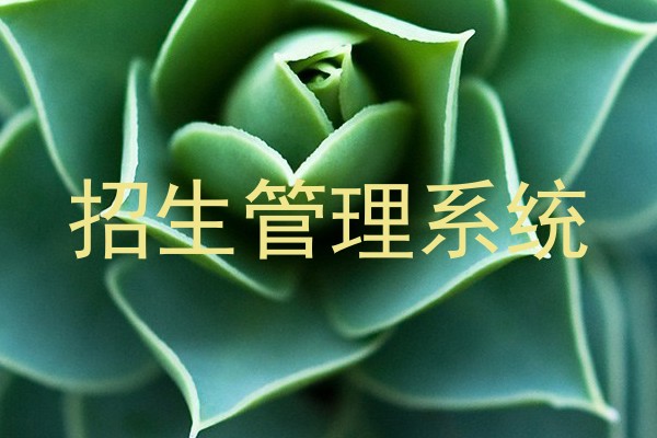 招生管理系统