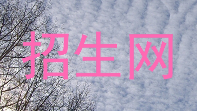 招生网