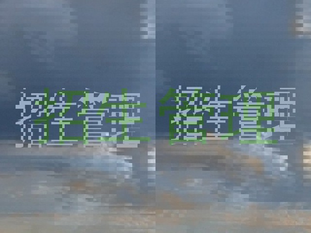 招生管理