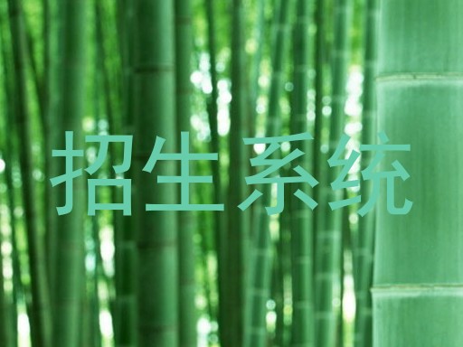 招生系统