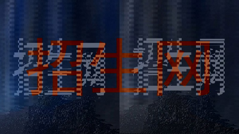招生网