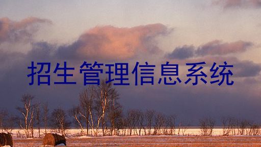 招生管理信息系统