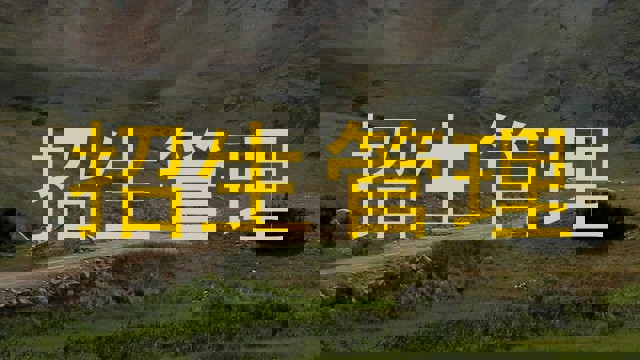 招生管理