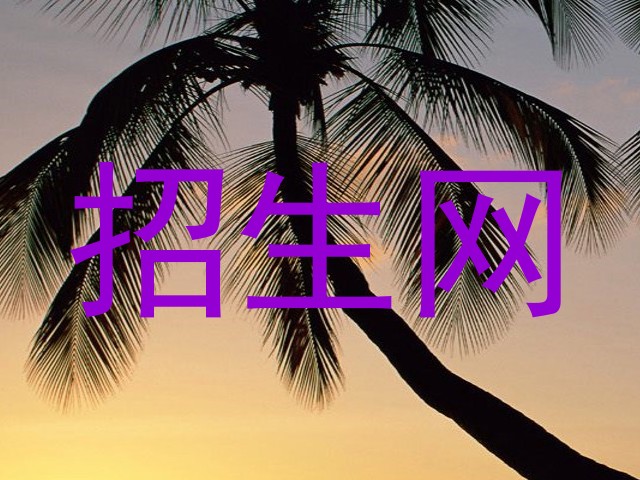 招生网