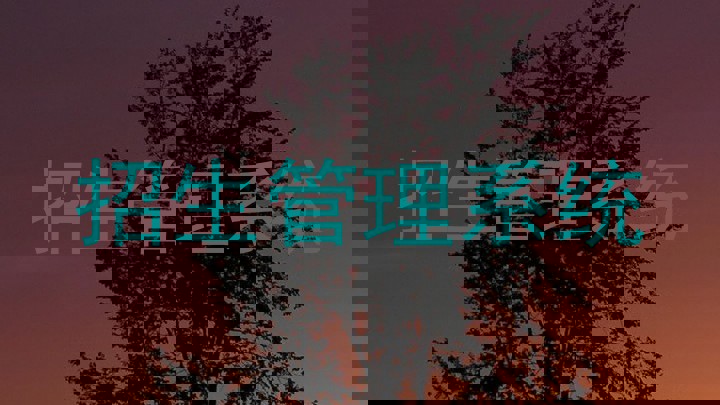 招生管理系统