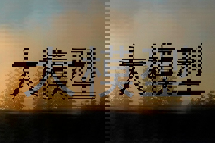 大模型