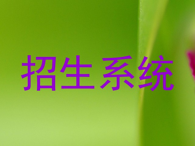 招生系统