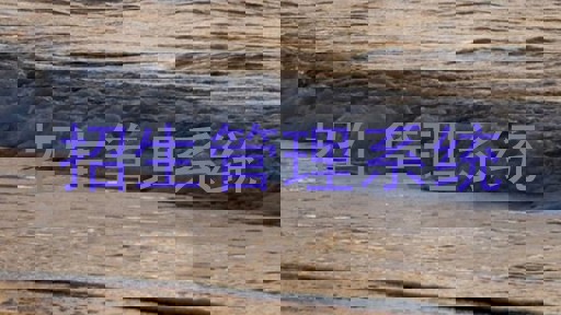 招生管理系统