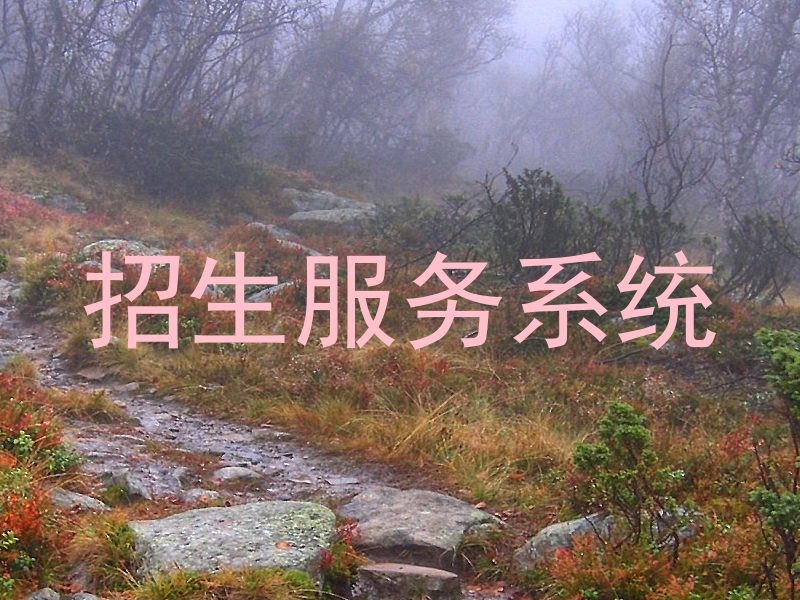 招生服务系统