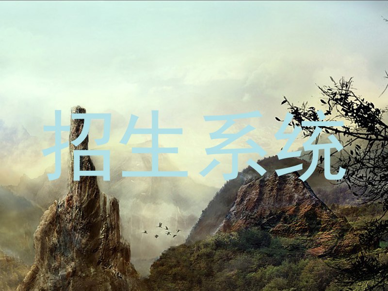 招生系统