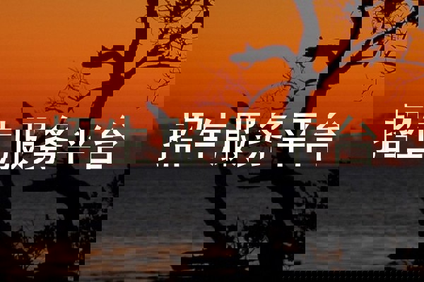 招生服务平台