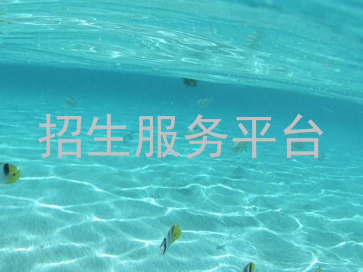 招生服务平台