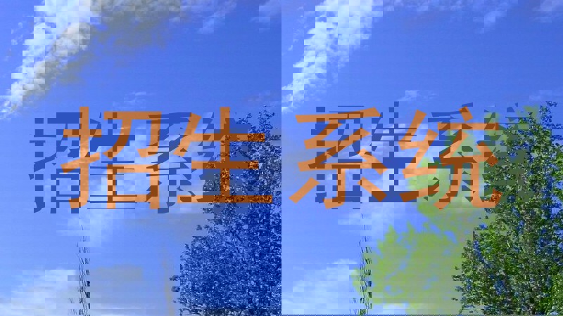 招生系统