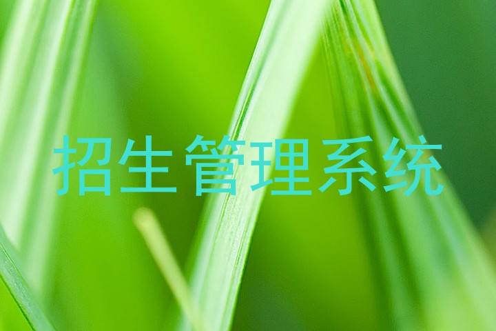 招生管理系统