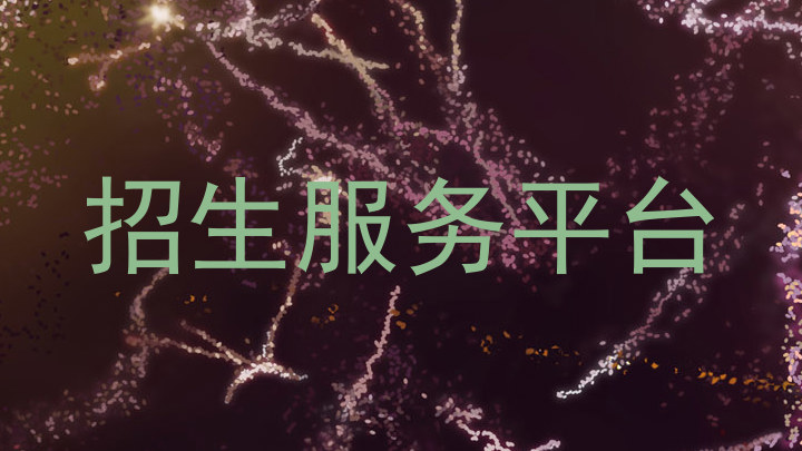 招生服务平台