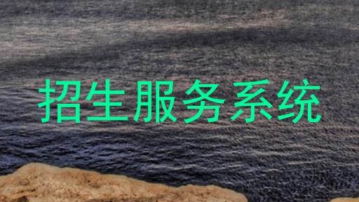 招生服务系统
