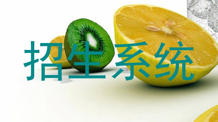 招生系统