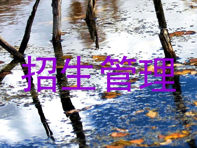 招生管理