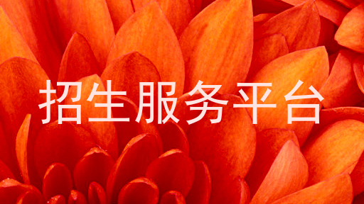 招生服务平台