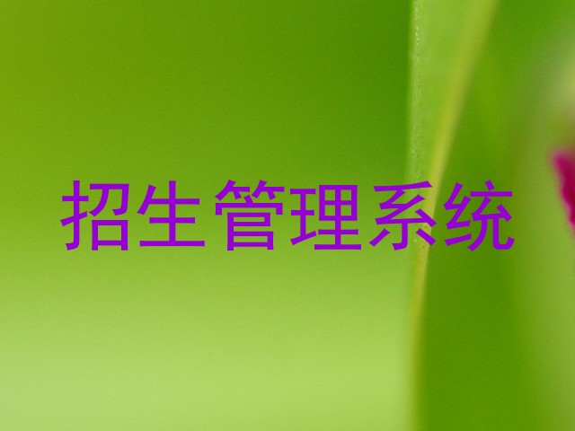 招生管理系统