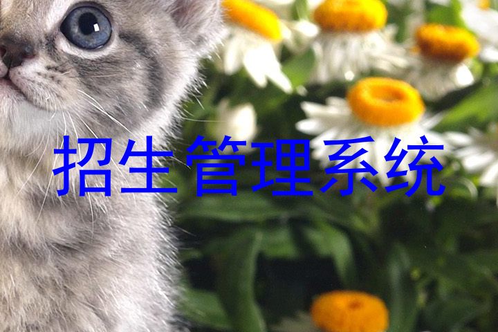 招生管理系统