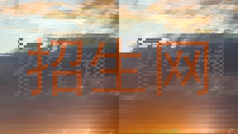 招生网
