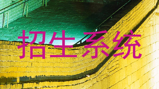 招生系统