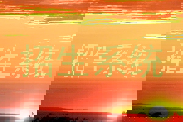 招生系统