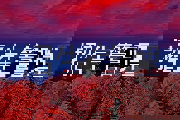 招生管理