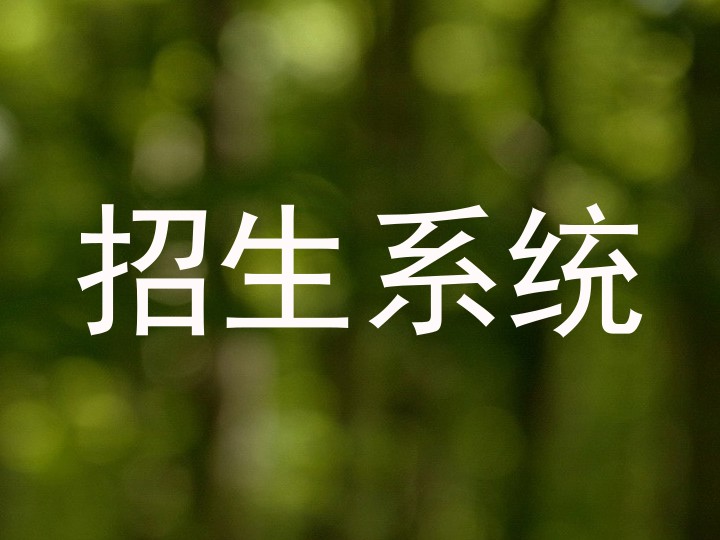 招生系统