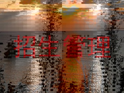 招生管理