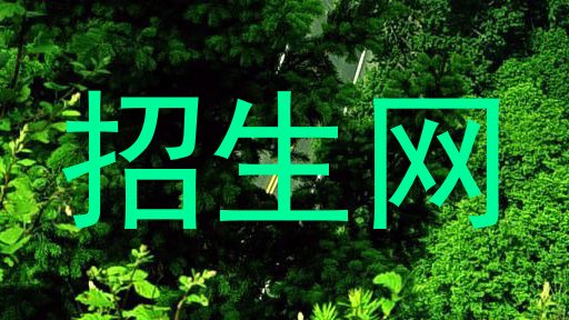 招生网