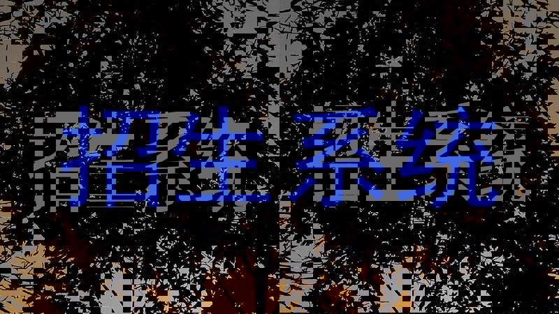 招生系统