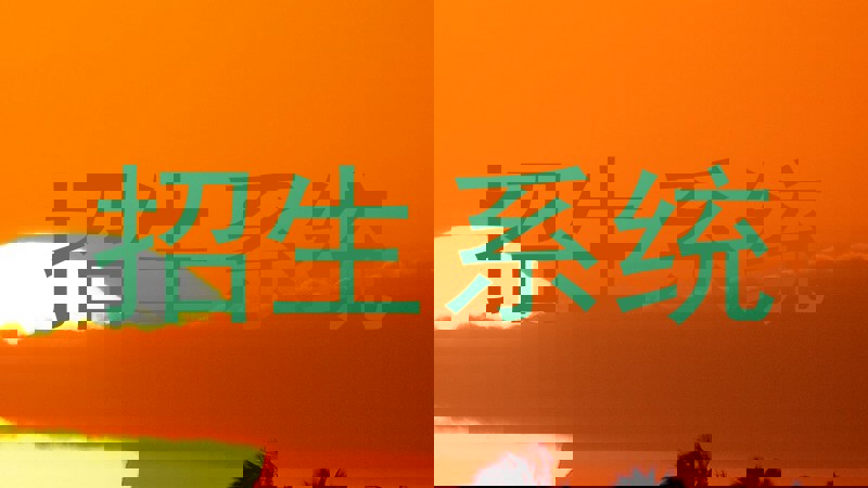 招生系统