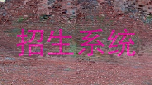 招生系统