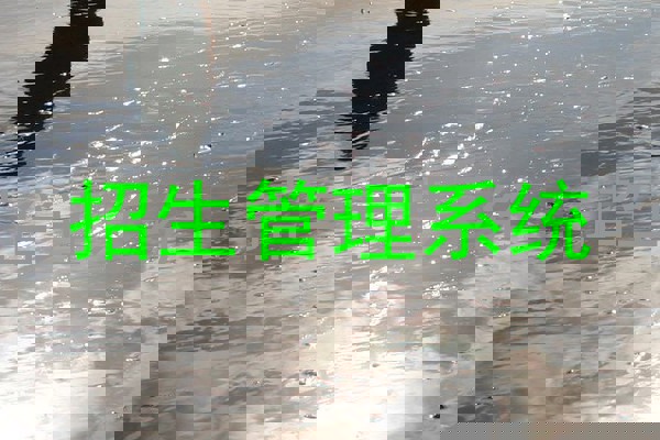 招生管理系统